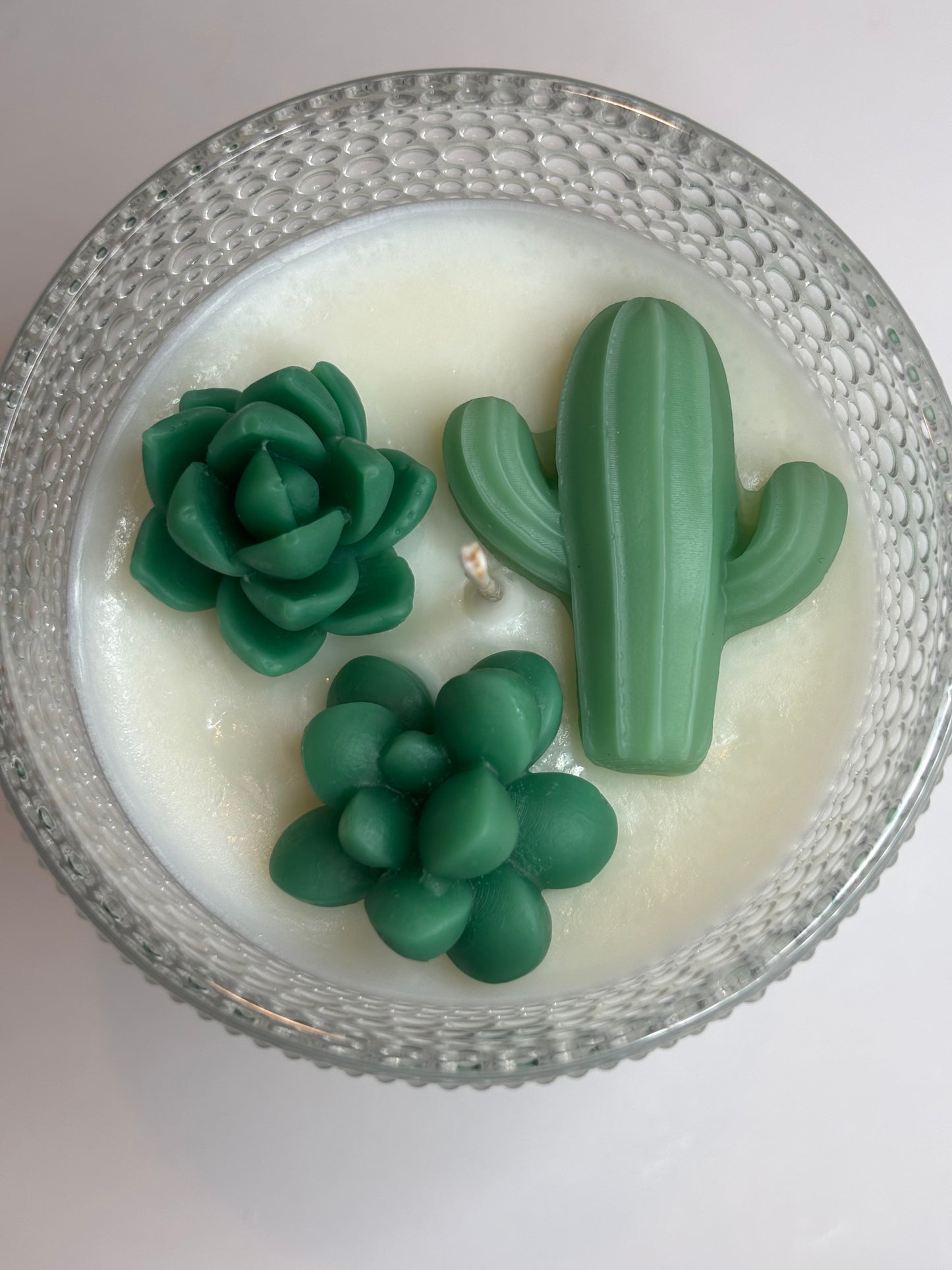 Vintage Jar of Succulents