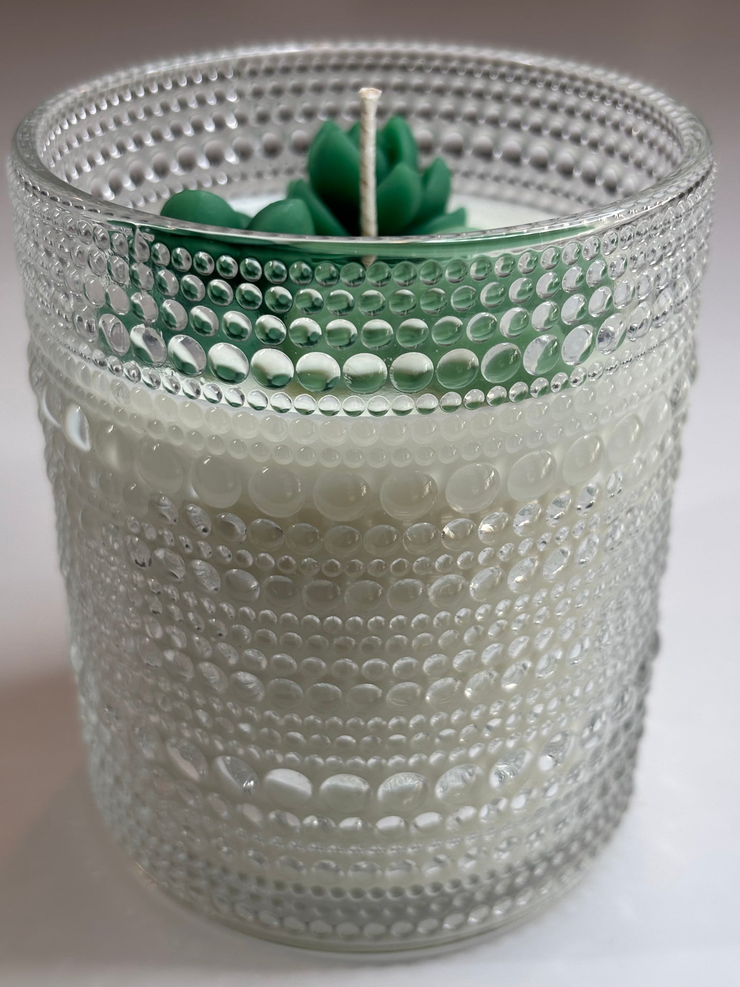 Vintage Jar of Succulents