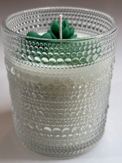 Vintage Jar of Succulents